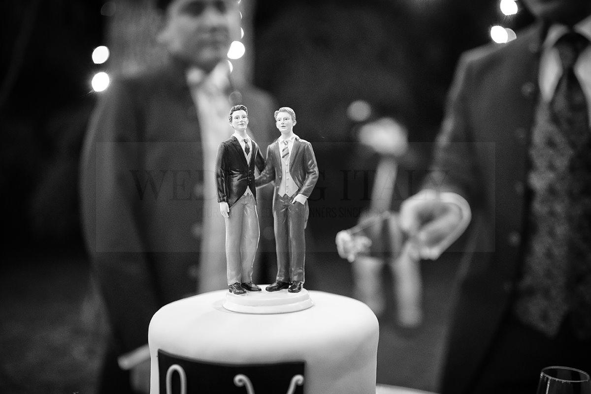Same-sex wedding cake topper Same-sex wedding cake topper